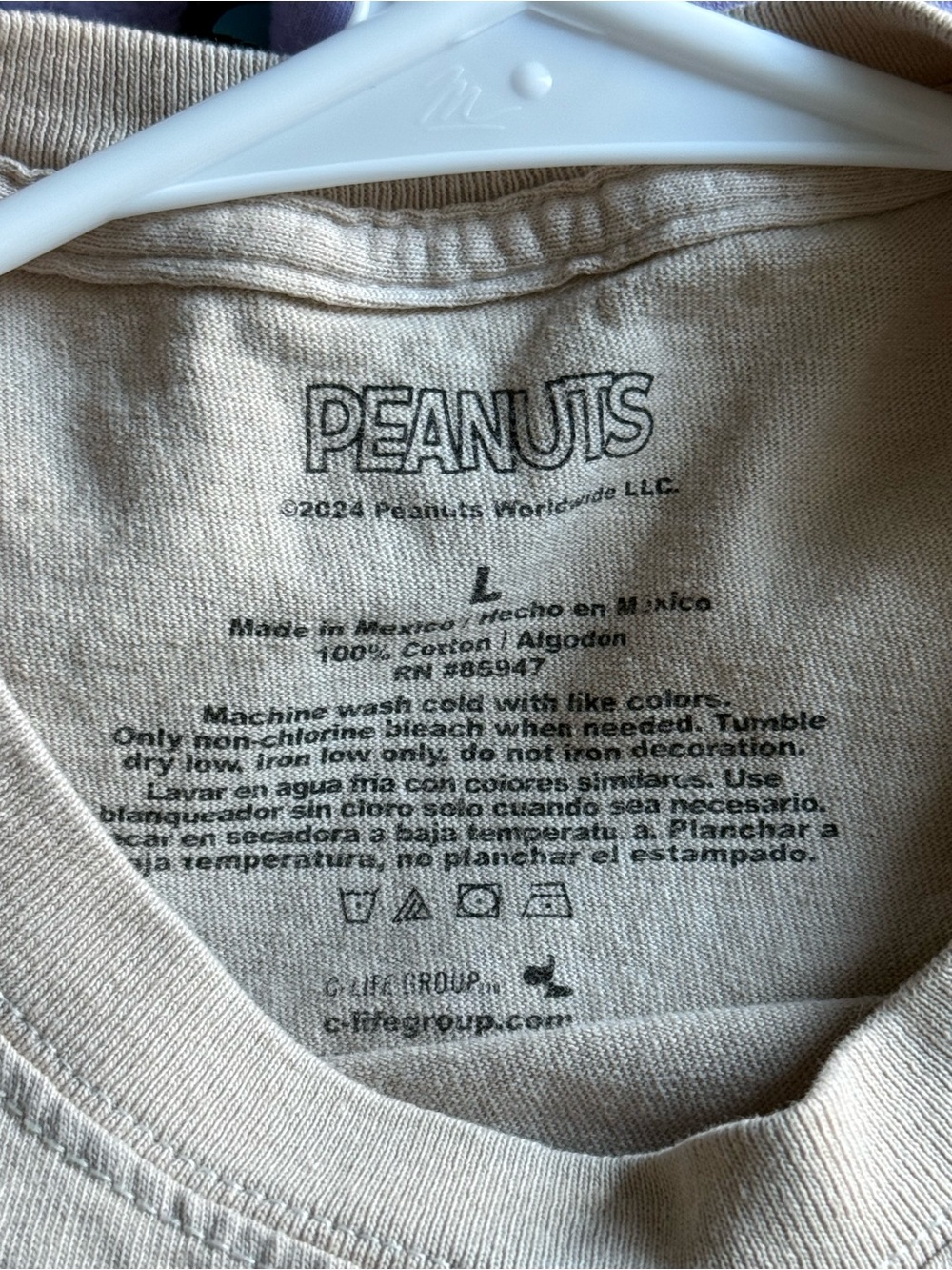 BoxLunch Peanuts Beige Desert Tee - Picture 3 of 3